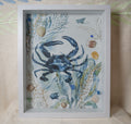 Blue Crab